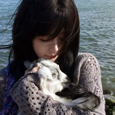海柏利昂超能家族 海报